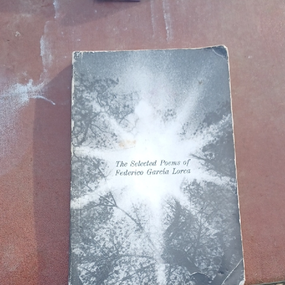The Selected Poems of Federico García Lorca - Gray Cover